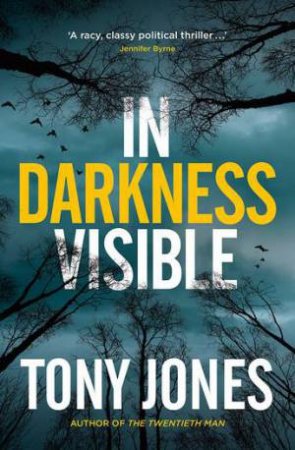 In Darkness Visible by Tony Jones