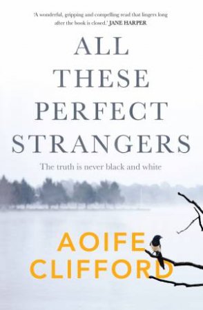 All These Perfect Strangers by Aoife Clifford