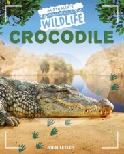 Australias Remarkable Wildlife Crocodile