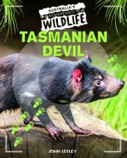 Australias Remarkable Wildlife Tasmanian Devil