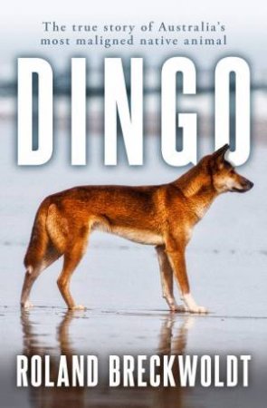 Dingo by Roland Breckwoldt