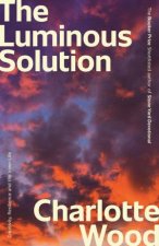 The Luminous Solution