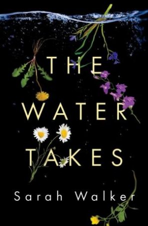 The Water Takes by Sarah Walker