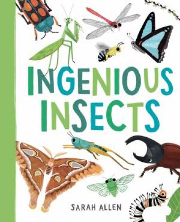 Ingenious Insects by Sarah Allen