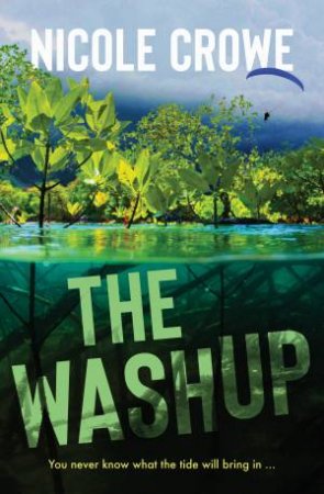The Washup by Nicole Crowe