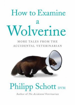 How To Examine A Wolverine by Philipp Schott