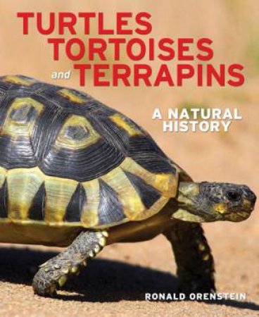 Turtles, Tortoises and Terrapins: A Natural History by ORENSTEIN RONALD