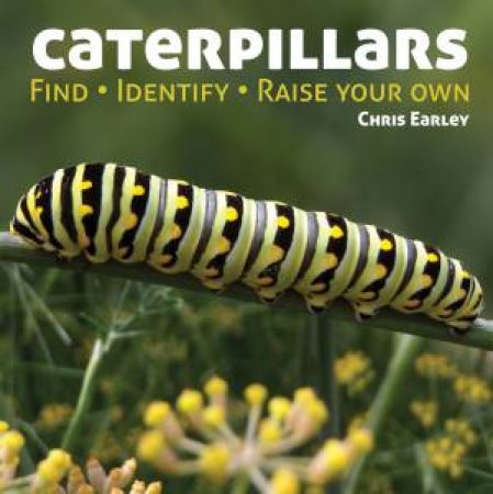 Caterpillars: Find - Identify - Raise Your Own by EARLEY CHRIS