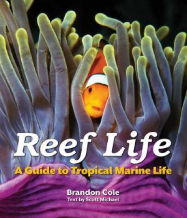 Reef Life: A Guide to Tropical Marine Life by COLE BRANDON & MICHAEL SCOTT