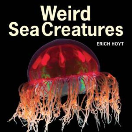 Weird Sea Creatures by HOYT ERICH