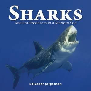 Sharks: Ancient Predators in a Modern Sea by JORGENSEN PHD SALVADOR