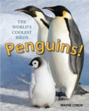 Penguins The Worlds Coolest Birds