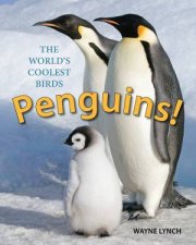 Penguins The Worlds Coolest Birds