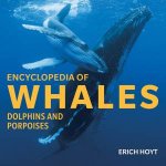 Encyclopedia Of Whales Dolphins And Porpoises
