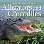 Exploring The World Of Alligators And Crocodiles