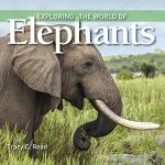 Exploring The World Of Elephants