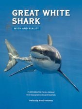 Great White Shark Myth And Reality