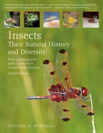 Insects: Their Natural History And Diversity by Stephen A. Marshall