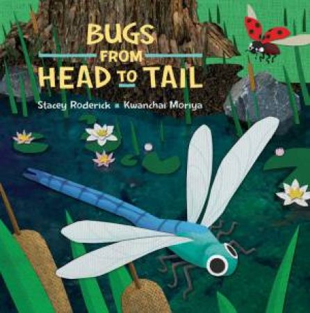 Bugs From Head To Tail by Stacey Roderick