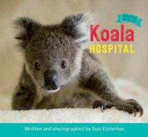 Koala Hospital by SUZI ESZTERHAS