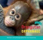 Orangutan Orphanage