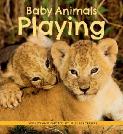 Baby Animals Playing by Suzi Eszterhas