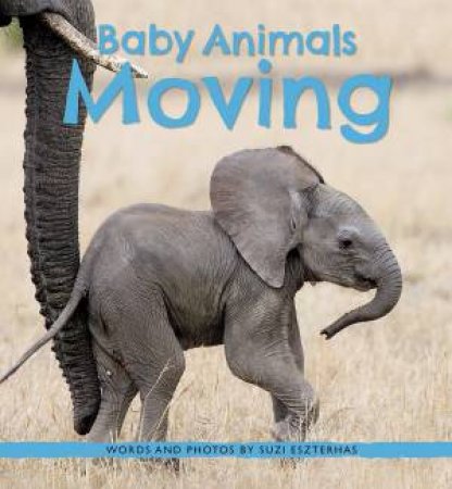 Baby Animals Moving by Suzi Eszterhas