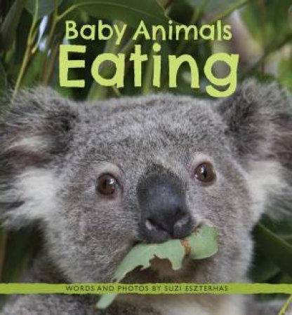 Baby Animals Eating by Suzi Eszterhas