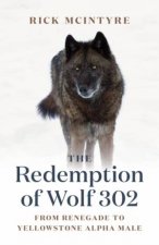 The Redemption Of Wolf 302