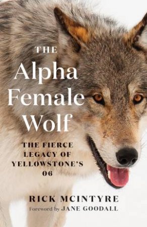 The Alpha Female Wolf by Rick McIntyre & Jane Goodall
