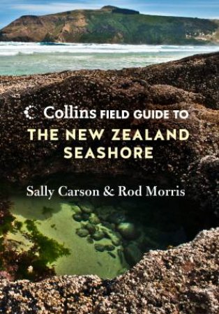 Field Guide To The New Zealand Seashore by Rod Morris