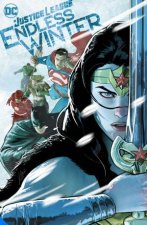 Justice League Endless Winter