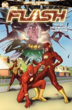 The Flash Vol 18 The Search For Barry Allen