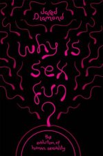 Why Is Sex Fun