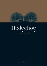 Hedgehog