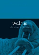 Walrus