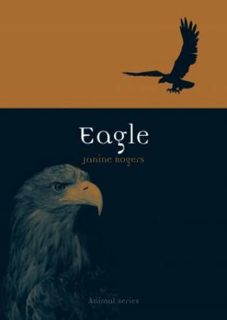 Eagle by Janine Rogers