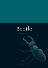 Beetle