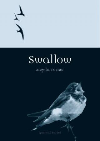 Swallow by Angela Turner