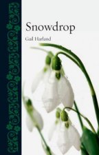 Snowdrop