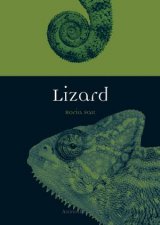 Lizard