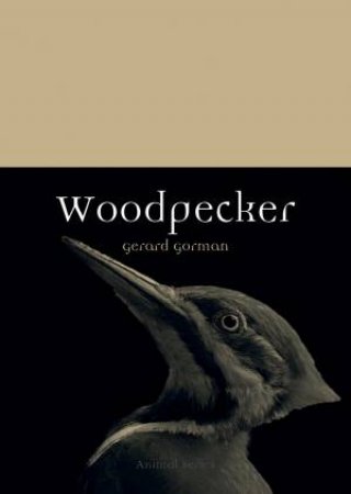 Woodpecker by Gerard Gorman