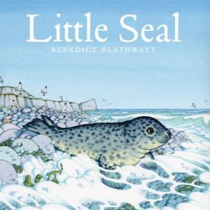 Little Seal by Benedict Blathwayt
