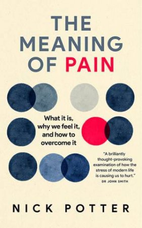 The Meaning Of Pain by Nick Potter