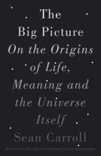 The Big Picture On The Origins Of Life Meaning And The Universe Itself