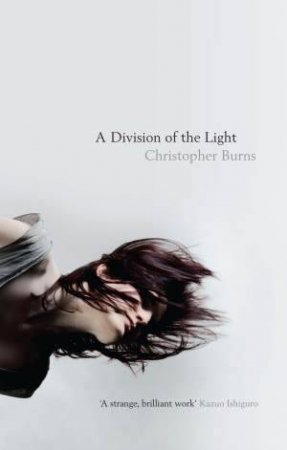 A Division of the Light by Christopher Burns