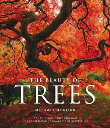 The Beauty of Trees by Michael Jordan