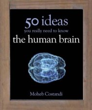 50 Human Brain Ideas You Really Need To Know