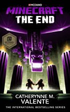 Minecraft The End