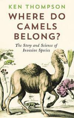 Where Do Camels Belong? by Ken Thompson